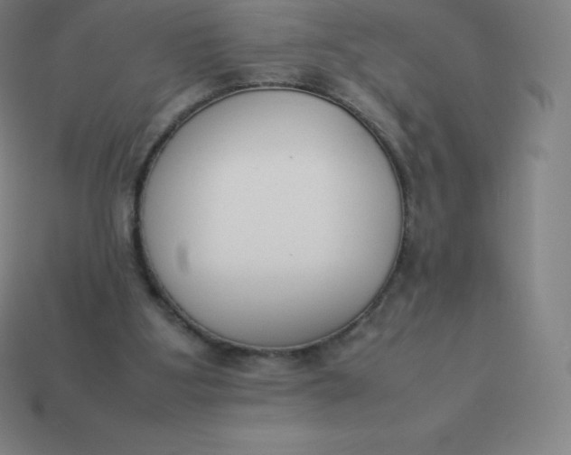 X0000113910107200910081858