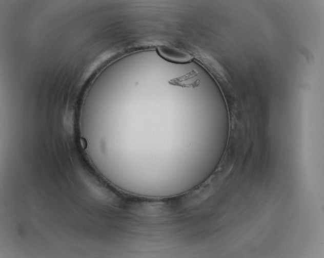 X0000113910108200910081858