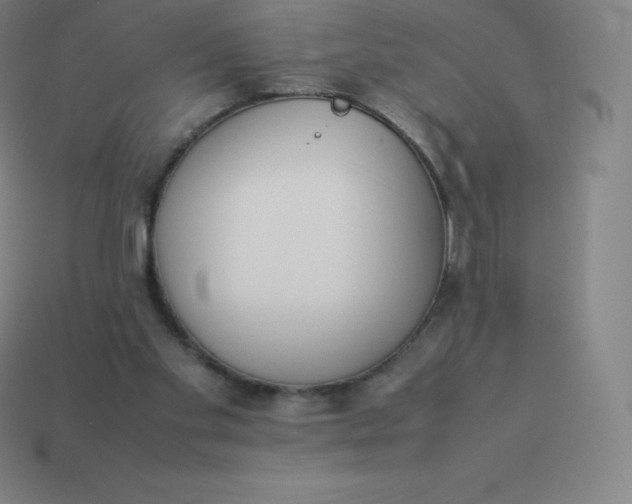 X0000113910109200910081858