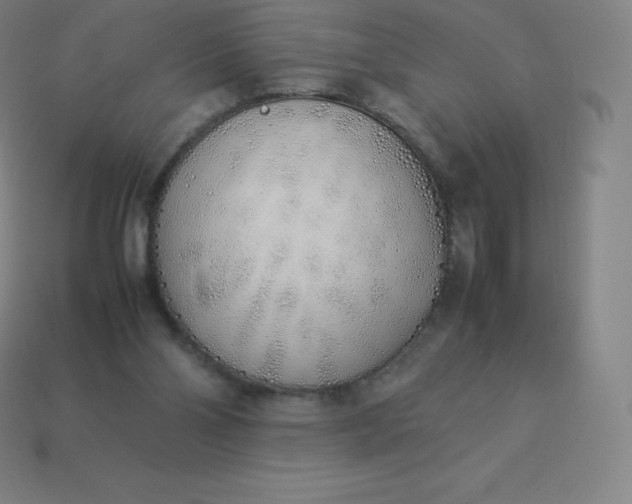 X0000113910110200910081858