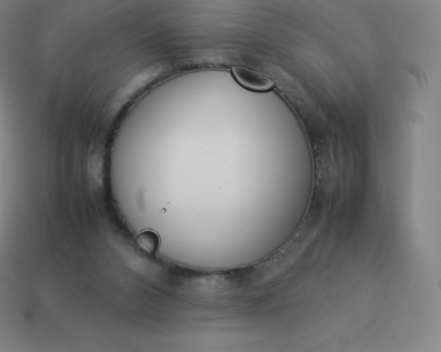 X0000113910112200910081858