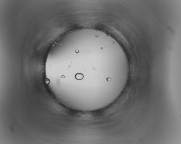 X0000113910113200910081858