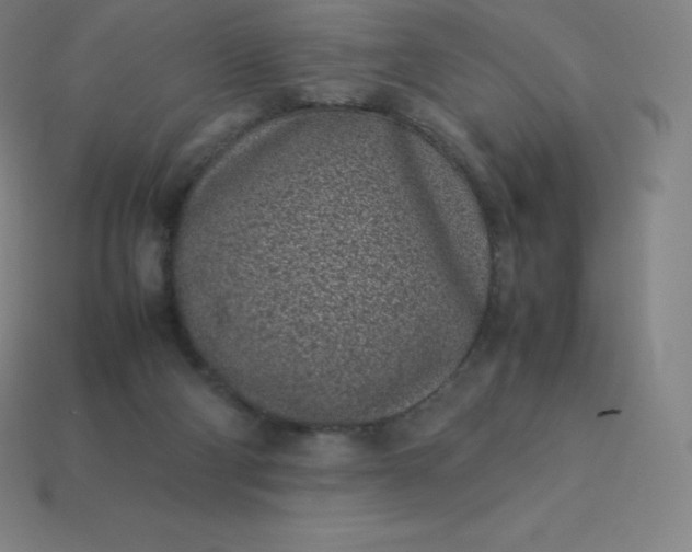 X0000113910114200910081858