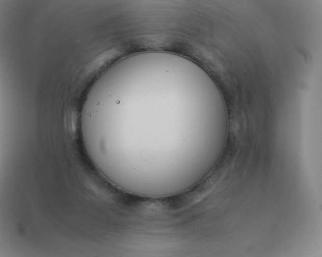 X0000113910115200910081858