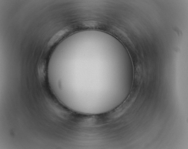 X0000113910116200910081858