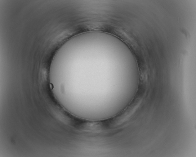 X0000113910117200910081858