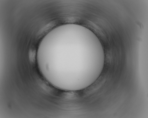 X0000113910118200910081858