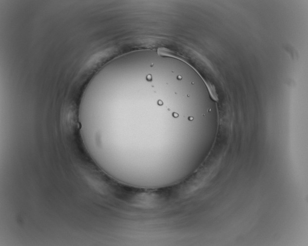 X0000113910119200910081858