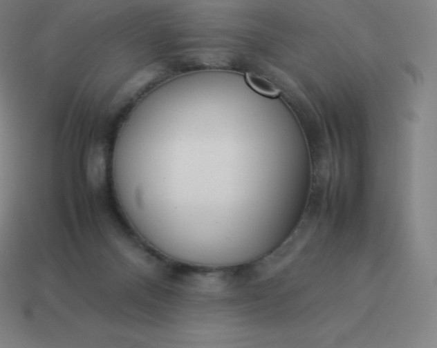 X0000113910120200910081858