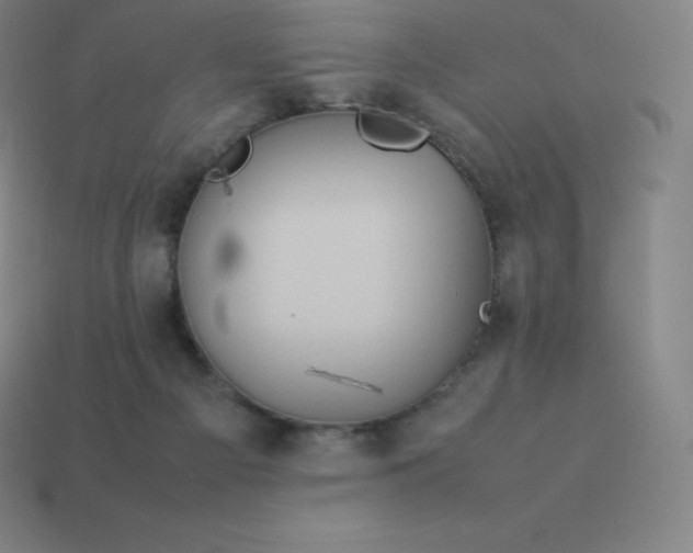 X0000113910121200910081858