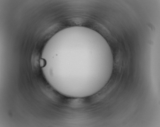 X0000113910122200910081858