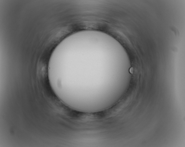 X0000113910123200910081858