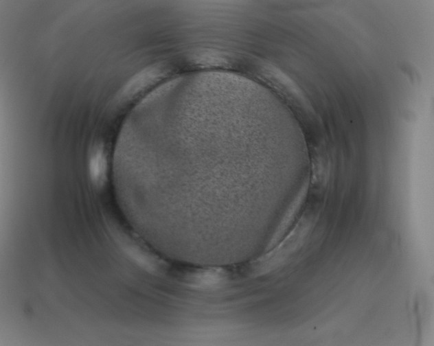 X0000113910124200910081858