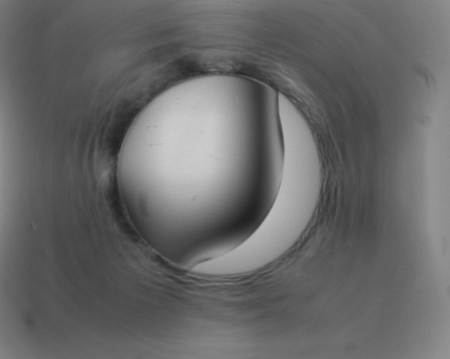 X0000113910125200910081858