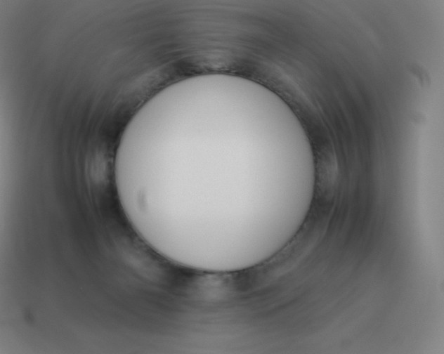 X0000113910126200910081858