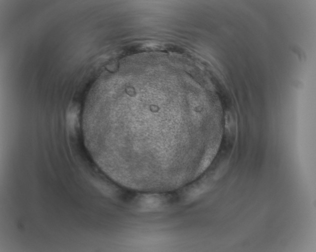 X0000113910127200910081858