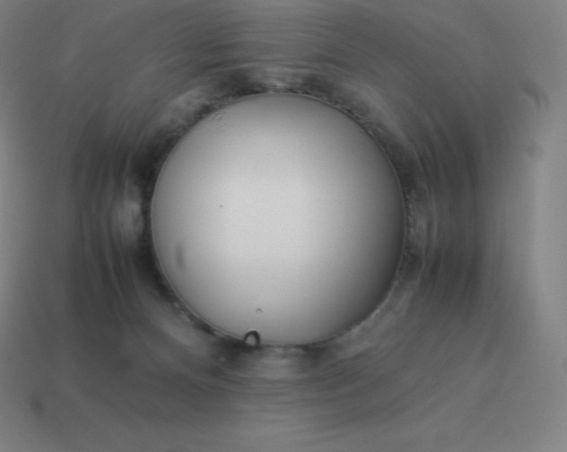 X0000113910128200910081858