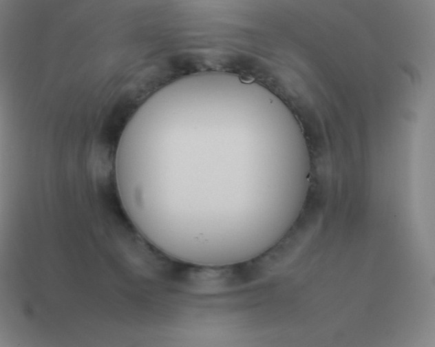 X0000113910129200910081858