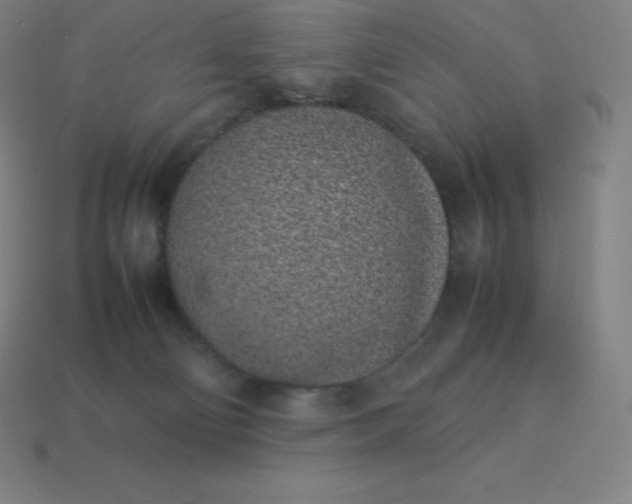 X0000113910130200910081858