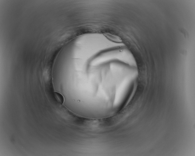 X0000113910131200910081858