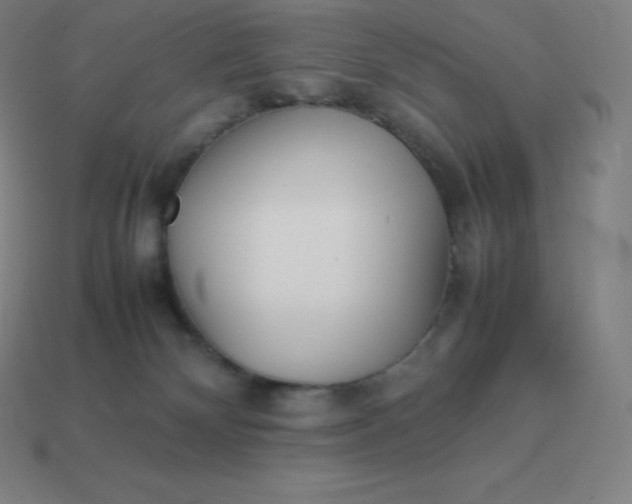 X0000113910132200910081858