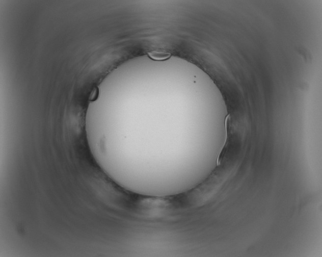 X0000113910133200910081858