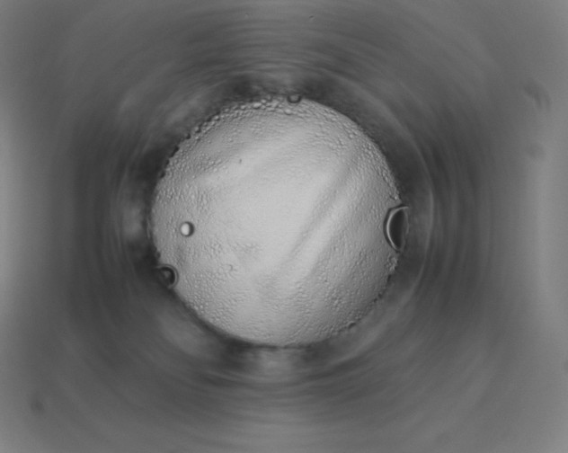 X0000113910134200910081858