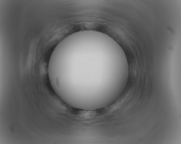 X0000113910135200910081858