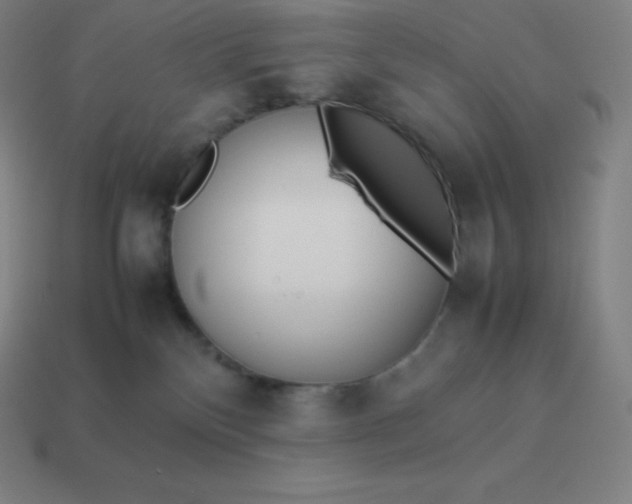 X0000113910136200910081858