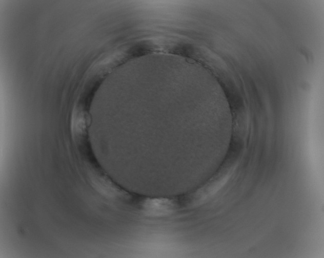 X0000113910137200910081858