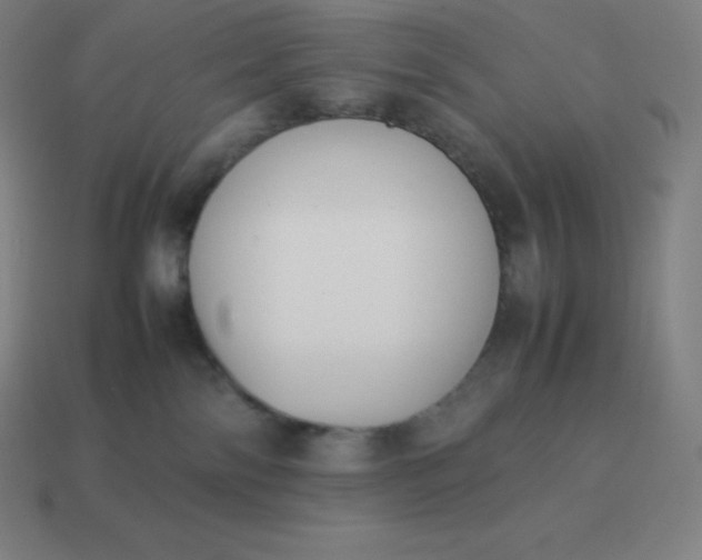 X0000113910138200910081858