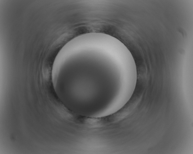 X0000113910139200910081858