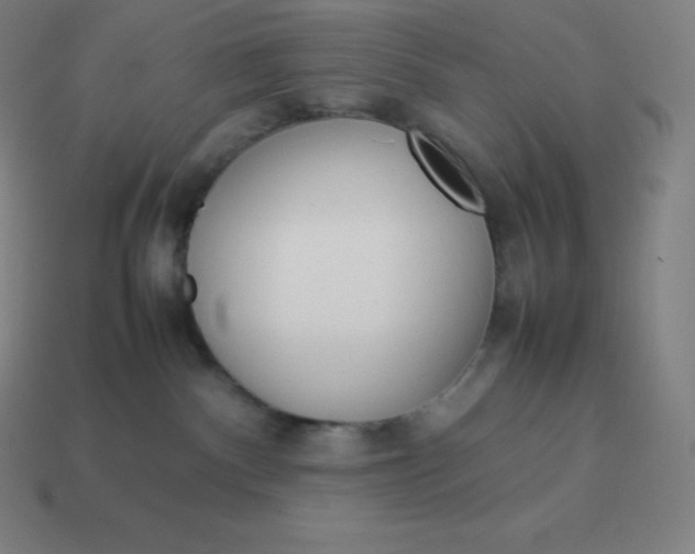 X0000113910140200910081858