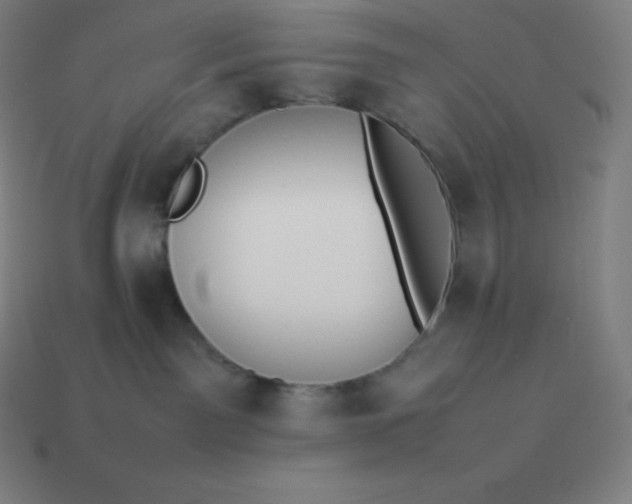 X0000113910141200910081858