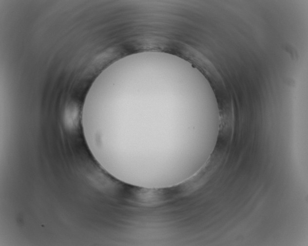 X0000113910142200910081858