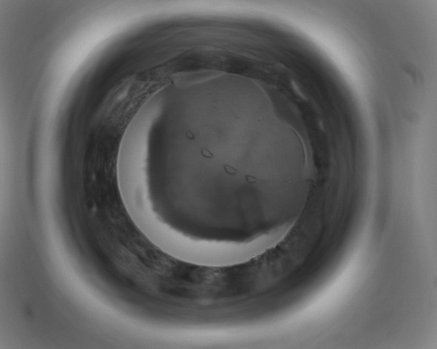 X0000113910143200910081858