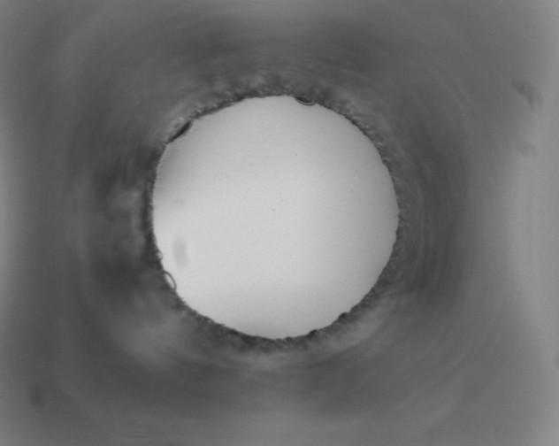 X0000113910144200910081858