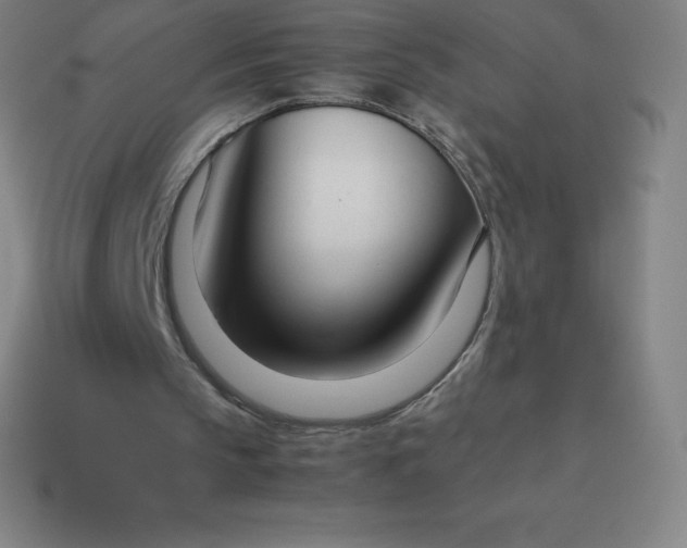 X0000113910145200910081857