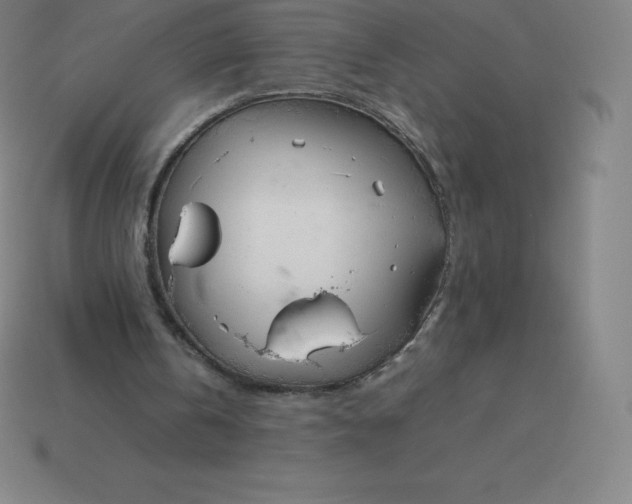 X0000113910146200910081857