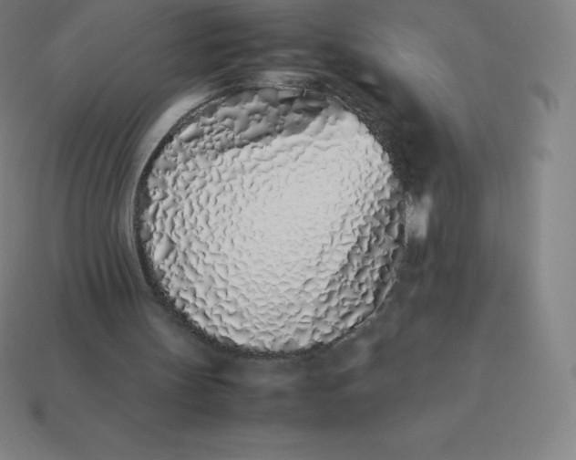 X0000113910147200910081857