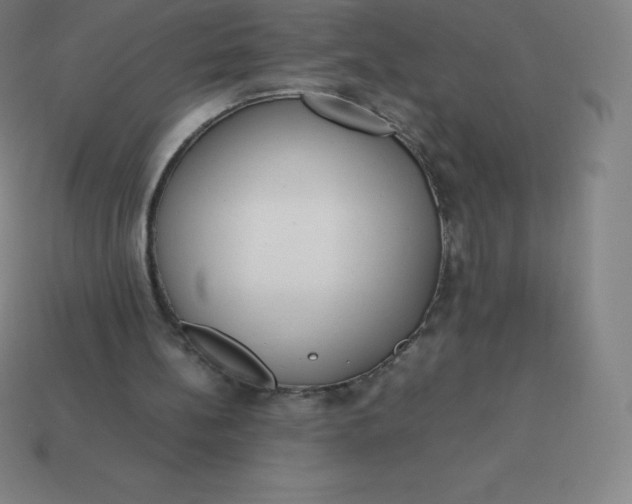 X0000113910148200910081857