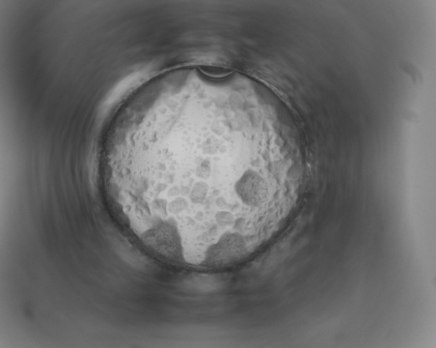 X0000113910149200910081857