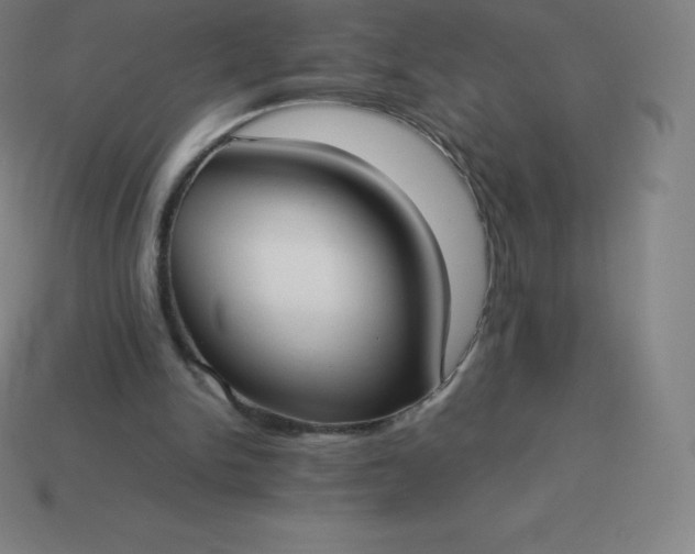 X0000113910150200910081857