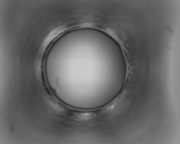 X0000113910151200910081857