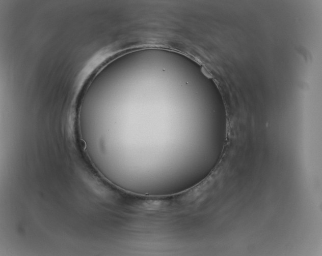 X0000113910152200910081857