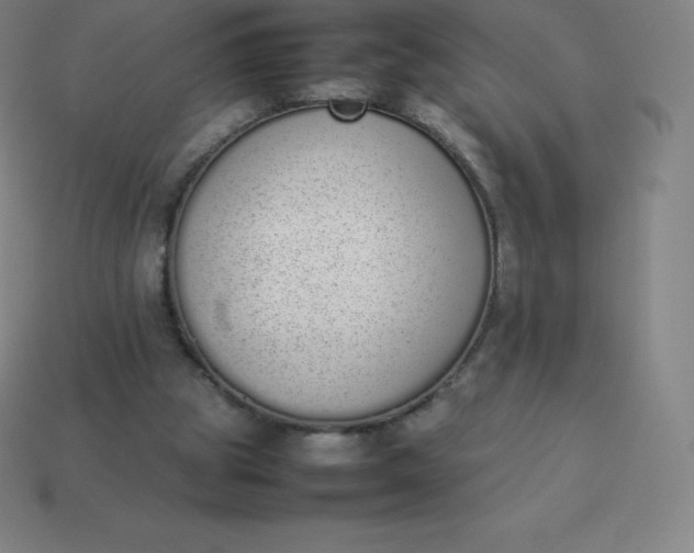 X0000113910153200910081857