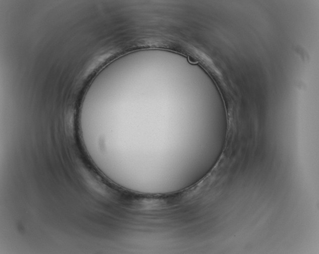 X0000113910154200910081857