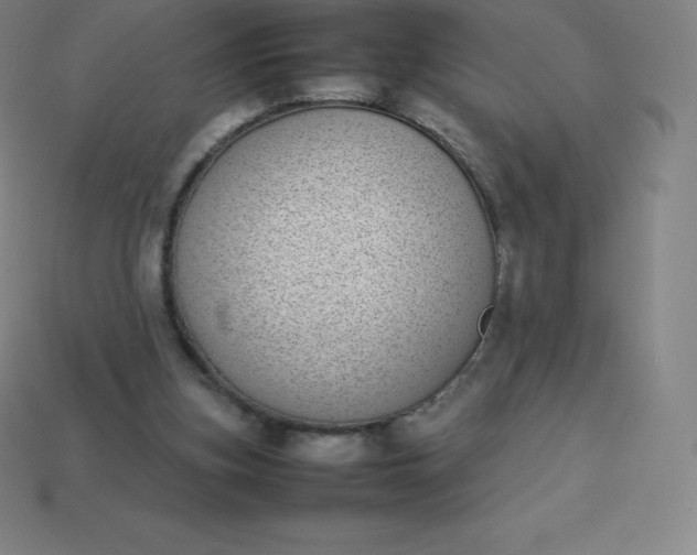 X0000113910155200910081857