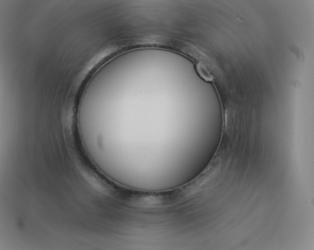 X0000113910156200910081857