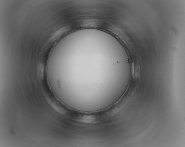 X0000113910157200910081857